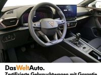 gebraucht Cupra Leon TRIBE 1.5 TSI 150 PS ACT