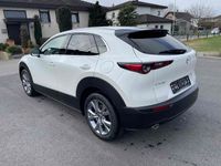 gebraucht Mazda CX-30 aus Höchst - 122 PS