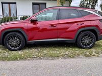 Gebraucht Hyundai Tucson 179 PS (131 kW) 2021 SUV