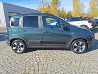gebraucht Fiat Panda 4x2 FireFly Hybrid 70 Pandina