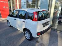 gebraucht Fiat Panda 4x2 FireFly Hybrid 70 Pandina