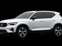Neu Volvo XC40 Plus 163 PS (119 kW) 2026 Weiß SUV