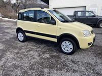 Gebraucht Fiat Panda 4x4 60 PS (44 kW) 2008 Kleinwagen