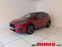 Gebraucht Ford Kuga ST-Line X 151 PS (111 kW) 2020 Rot SUV