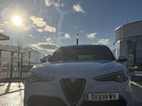 Gebraucht Alfa Romeo Stelvio Business 160 PS (117 kW) 2019 SUV