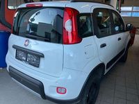 gebraucht Fiat Panda Panda 0,9 Twinair