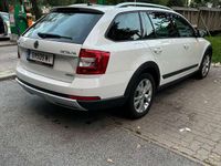 gebraucht Skoda Octavia Combi 2.0 TDI (Green tec) 4x4 DSG Scout