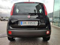 gebraucht Fiat Panda Panda 4x2 FireFly Hybrid 70