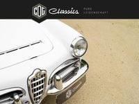 Gebraucht Alfa Romeo Giulia Spider 92 PS (67 kW) 1964 Weiß Cabrio