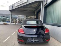 gebraucht VW Beetle Allstar 105TSI Bi-XenonNaviTempomatPDC+R-Kamera