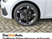 gebraucht Cupra Leon SP Kombi TRIBE 1.5 TSI 150