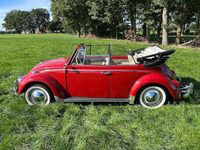 gebraucht VW Käfer cabrio 1965 body off restauriert guter Zustand
