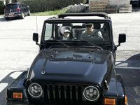 gebraucht Jeep Wrangler Wrangler 4,0 HardTop