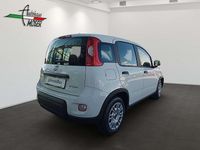 gebraucht Fiat Panda 4x2 FireFly Hybrid 70