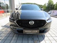 Neu Mazda CX-30 Nagisa 140 PS (102 kW) 2026 SUV