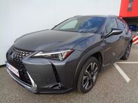 gebraucht Lexus UX 250h Style Edition 1.4kWh Aut.