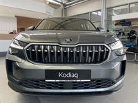 Gebraucht Skoda Kodiaq Selection 193 PS (141 kW) 2024 Grau SUV