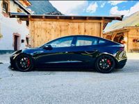 gebraucht Tesla Model 3 Performance *Armstrong Nr. 11 von 20*