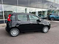 gebraucht Fiat Panda FireFly 70 Hybrid