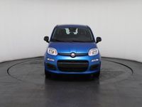 Neu Fiat Panda 69 PS (50 kW) 2025 Kleinwagen