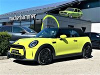 gebraucht Mini Cooper Cabriolet AUT *LED*NAVI*LEDER*SHZG*KEYLESS*