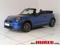 Gebraucht Mini Cooper Cabriolet 163 PS (119 kW) 2025 Blau Cabrio
