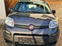 Gebraucht Fiat Panda 4x4 84 PS (61 kW) 2019 Grau Kleinwagen