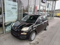 Neu Fiat Panda 69 PS (50 kW) 2025 Schwarz Limousine