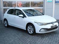 gebraucht VW Golf VIII 1.0 TSI Life Kamera ACC LED App-Navi