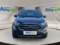 Gebraucht Ford Ecosport Titanium 125 PS (91 kW) 2020 Grau SUV