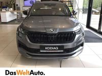 gebraucht Skoda Kodiaq 4x4 Sportline TDI DSG