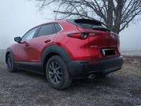 gebraucht Mazda CX-30 CX-30 G150 Comfort /SO/ST/PR/TE Aut. Comfort /SO/ST/PR/TE