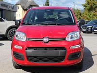 gebraucht Fiat Panda 4x2 FireFly Hybrid 70 Pandina