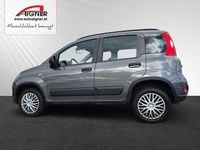 Gebraucht Fiat Panda 4x4 Wild 86 PS (63 kW) 2020 Grau Kleinwagen