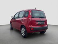 gebraucht Fiat Panda Panda