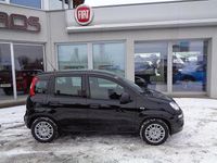 gebraucht Fiat Panda 4x2 FireFly Hybrid 70