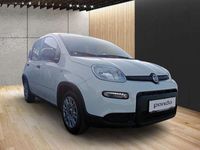 gebraucht Fiat Panda 1,0 FireFly Hybrid 70 Hybrid