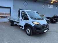 Gebraucht Fiat Ducato 140 PS (102 kW) 2022 Weiß Van