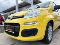 gebraucht Fiat Panda 4x2 FireFly Hybrid 70 Pandina