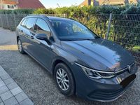 gebraucht VW Golf VIII 