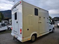 gebraucht Renault Master JK Pferdetransporter