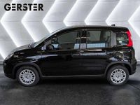 Gebraucht Fiat Panda 69 PS (50 kW) 2025 Schwarz Kleinwagen