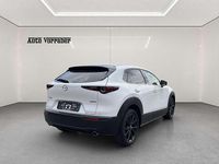 gebraucht Mazda CX-30 e-Skyactive G122 Homura Aut.
