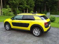 gebraucht Citroën C4 Cactus 1,2 VTI82 Feel ETG