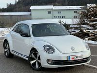 gebraucht VW Beetle Sport*LED*Xenon*Öamtc*Temp-Kredit*R-Line*Design