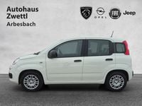 Neu Fiat Panda 71 PS (52 kW) 2026 Kleinwagen