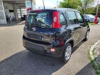 gebraucht Fiat Panda 10 FireFly Hybrid 70 Hybrid