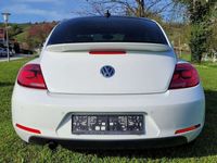 gebraucht VW Beetle 12 TSI CUP Edition