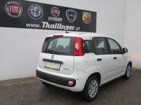 gebraucht Fiat Panda FireFly Hybrid 70 Icon