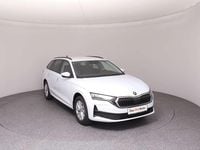 Gebraucht Skoda Octavia Essence 116 PS (85 kW) 2025 Weiss  metallic Kombi